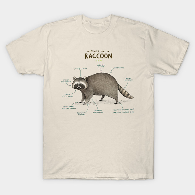 Anatomy of a Raccoon - Raccoon - T-Shirt | TeePublic